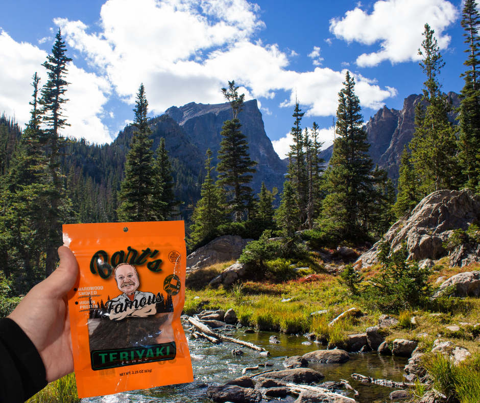 Bart's Famous Jerky - Teriyaki