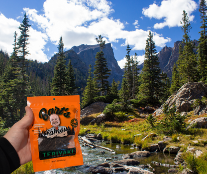Bart's Famous Jerky - Teriyaki